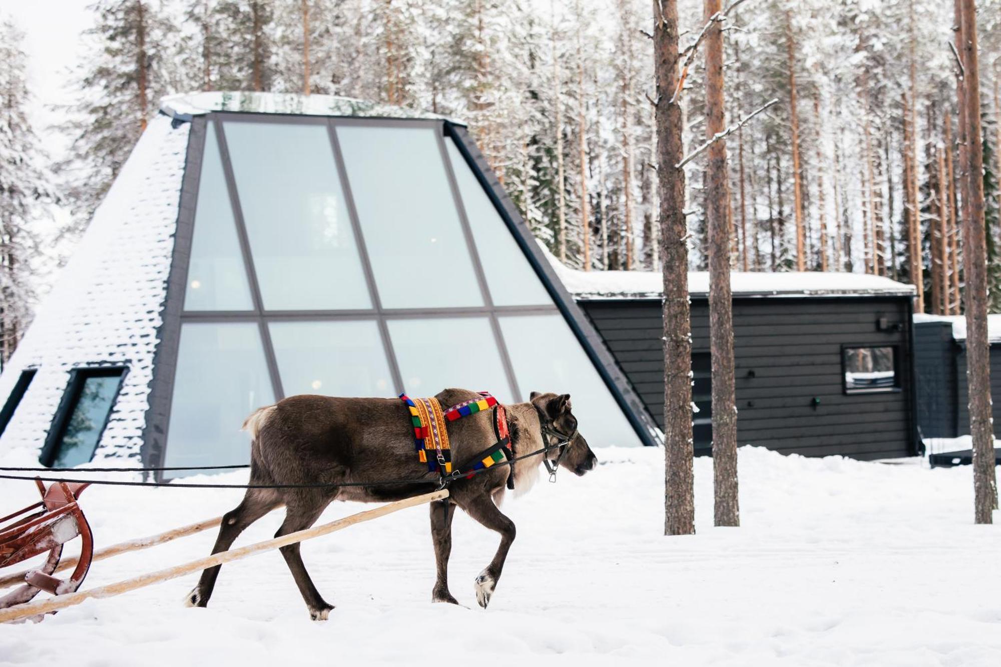 Glass Resort Рованиеми Стая снимка